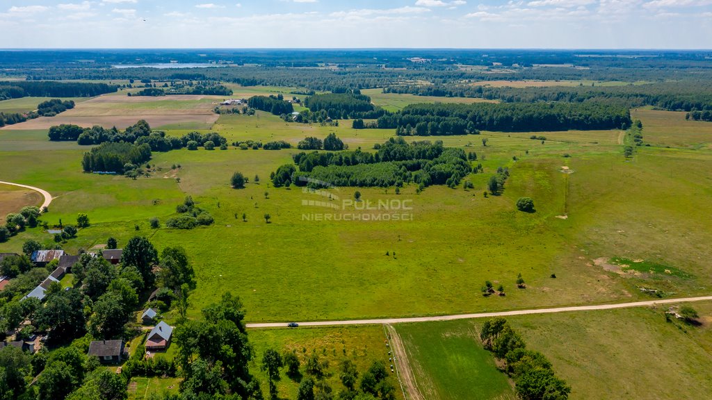 Działka rolna na sprzedaż Mieleszki-Kolonia  3 003m2 Foto 8