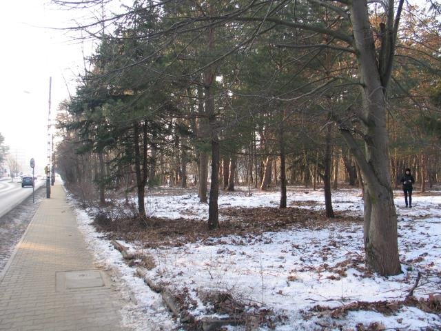 Działka 3160 m2 z pozwoleniem na 4 domy w Wawer Warszawa, Wawer, Międzylesie, Al. Dzieci Polskich  3 160m2 Foto 1