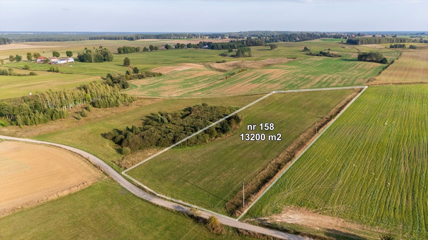 Działka rolna na sprzedaż Olszewki  13 200m2 Foto 4