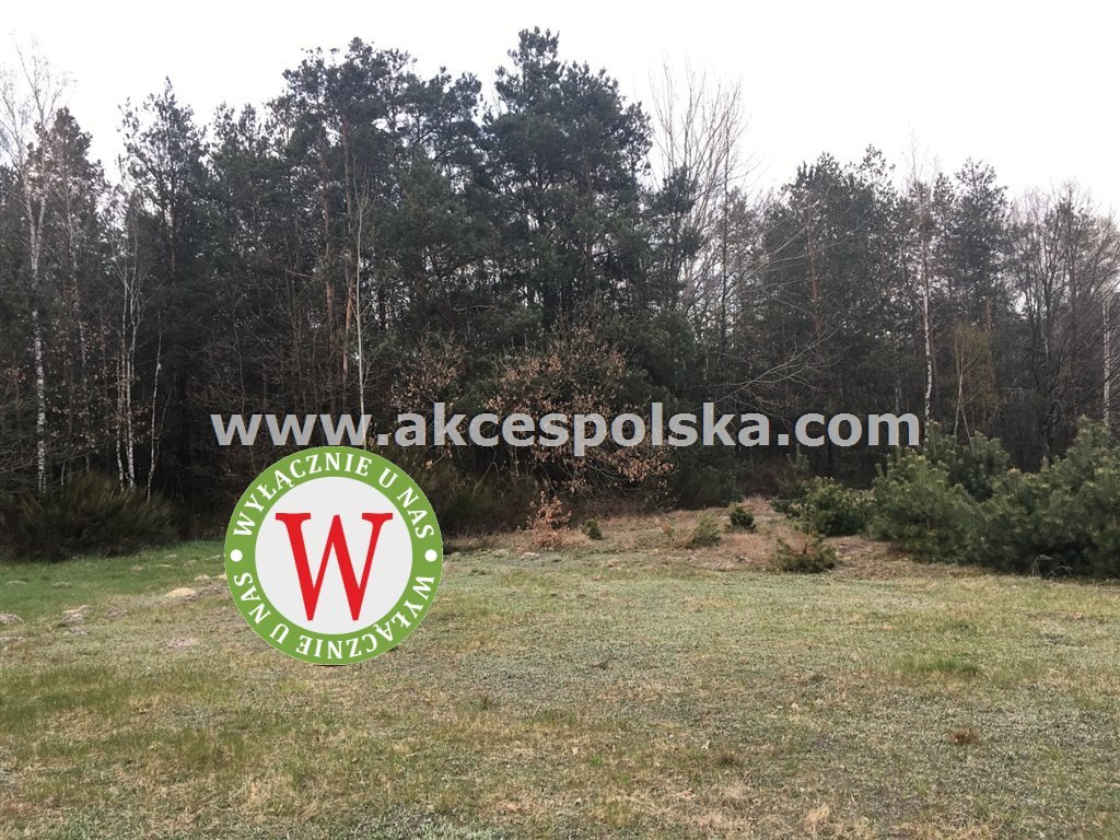 Działka inna na sprzedaż Zieleniec, Józefów  11 800m2 Foto 14