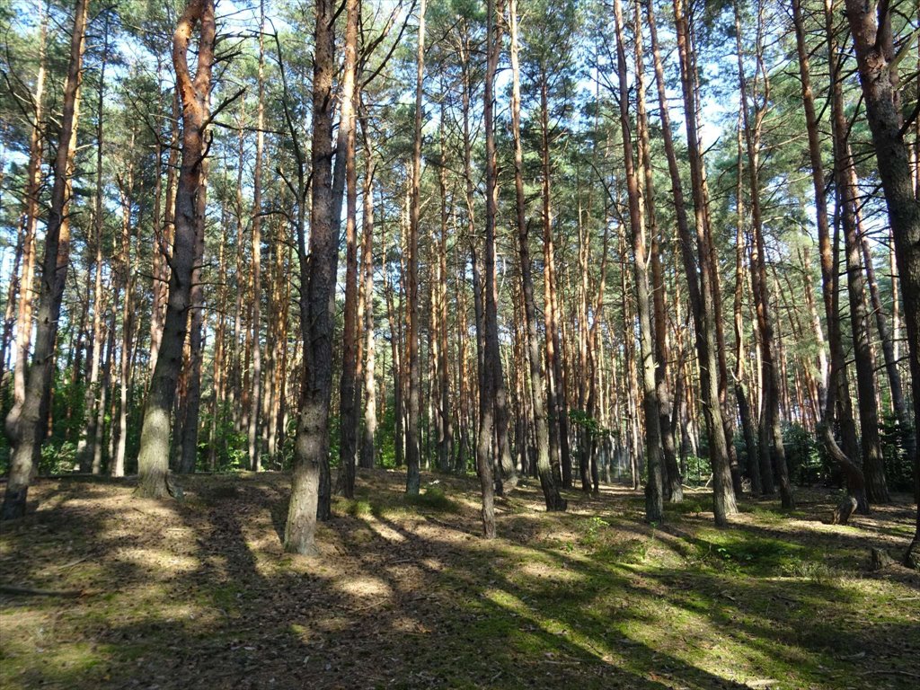 Działka przemysłowo-handlowa na sprzedaż Józefów, Aleksandra Puszkina  1 657m2 Foto 2