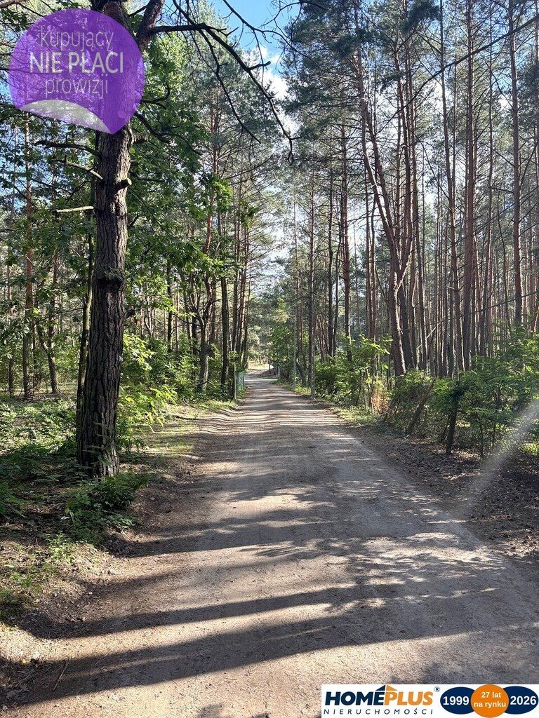 Działki 1500 m² w lesie pod Radzyminem - polecam!: Łosie