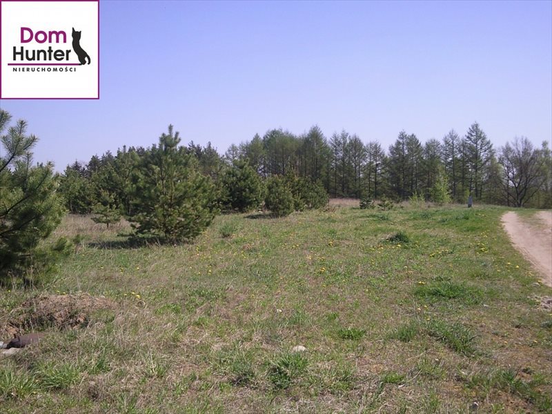 Działka budowlana na sprzedaż Gołubie 1 000m2 Foto 1 Działka budowlana na sprzedaż Gołubie 1 000m2 Foto 1