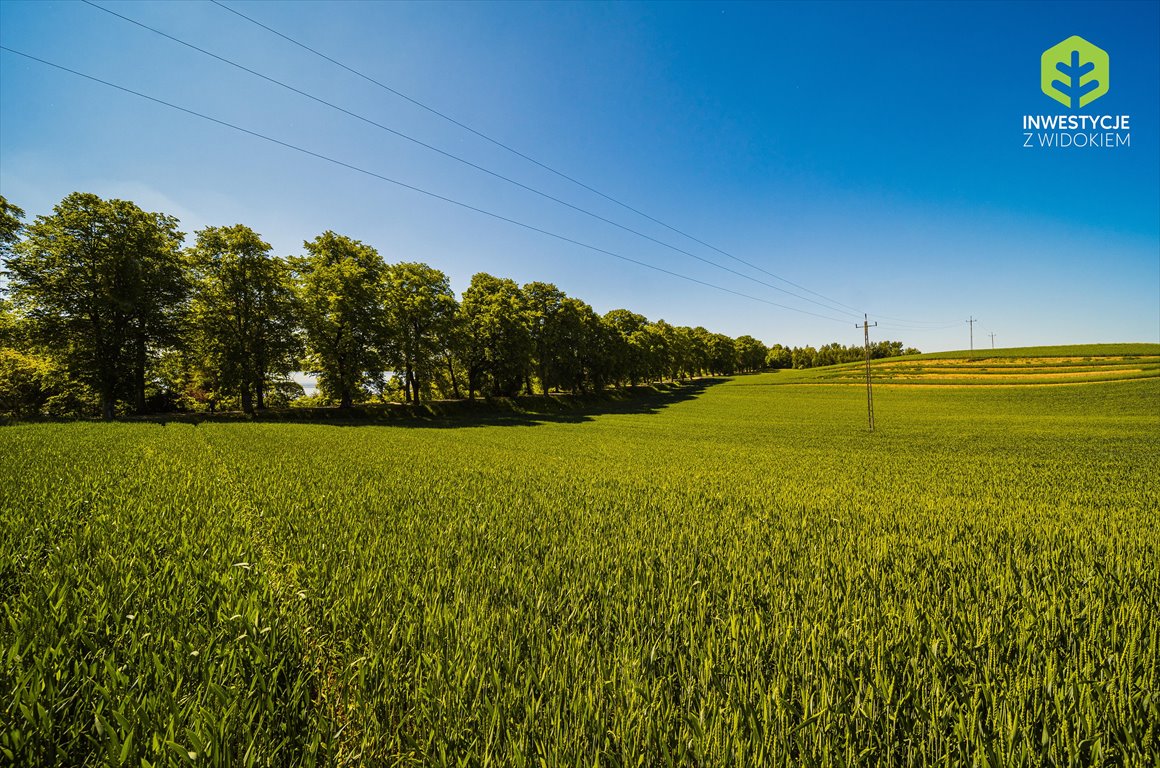 Działka budowlana na sprzedaż Kwidzyn, Dzialka nad jeziorem 80min od Gdanska  498m2 Foto 9