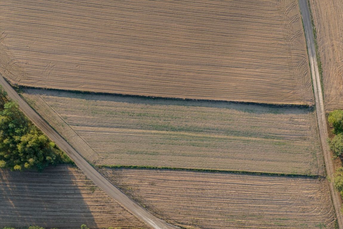 Działka rolna na sprzedaż Jesionka  2 800m2 Foto 3