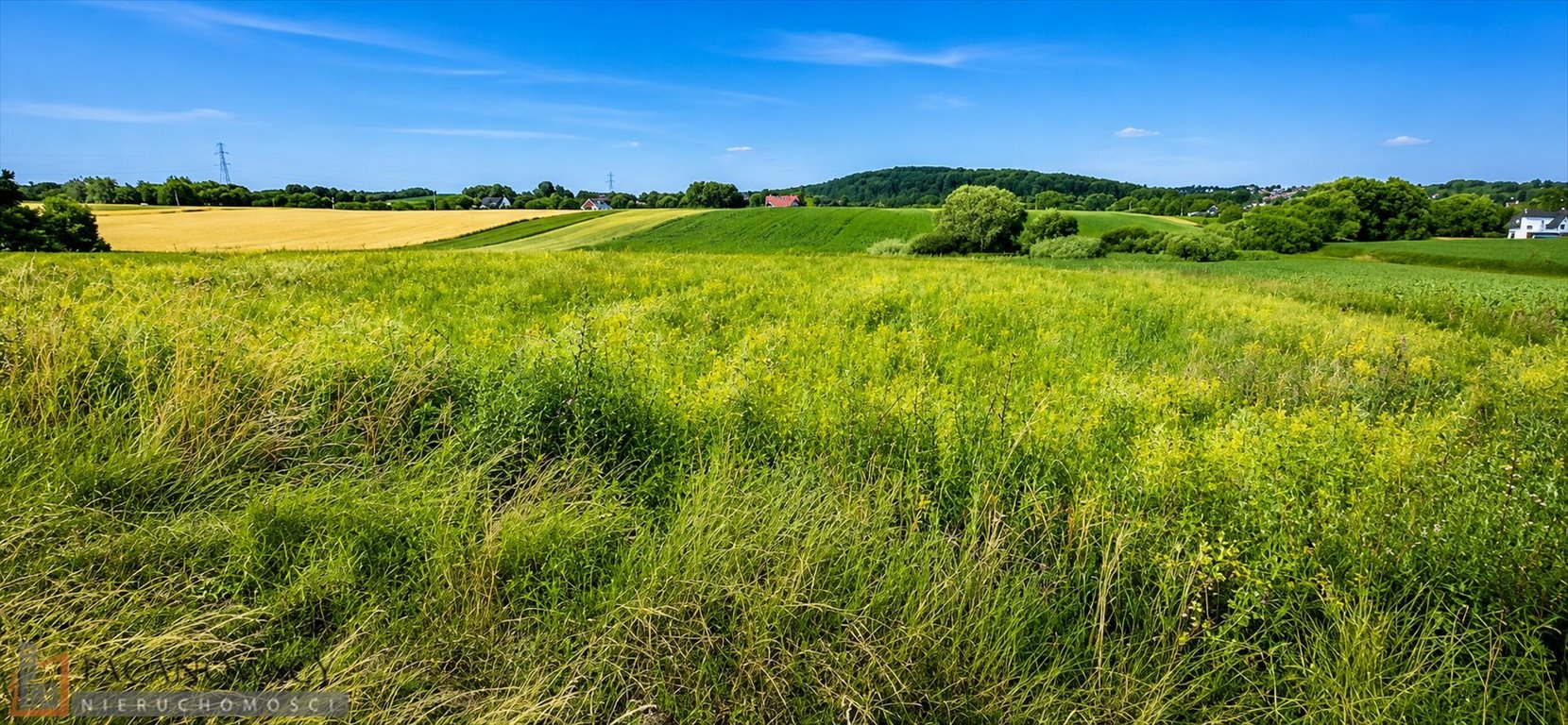 Działka rolna 73 arów w Bibicach - atrakcyjna lokalizacja Bibice  7 300m2 Foto 1