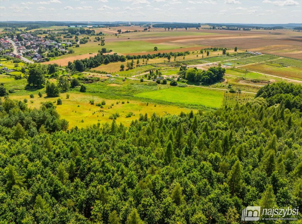 Działka rolna na sprzedaż Chojna  23 200m2 Foto 4