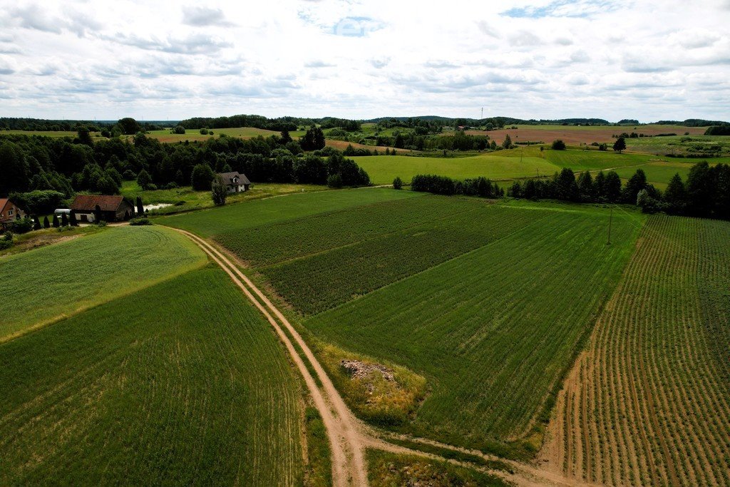 Działka rolna na sprzedaż Bartosze  3 500m2 Foto 13