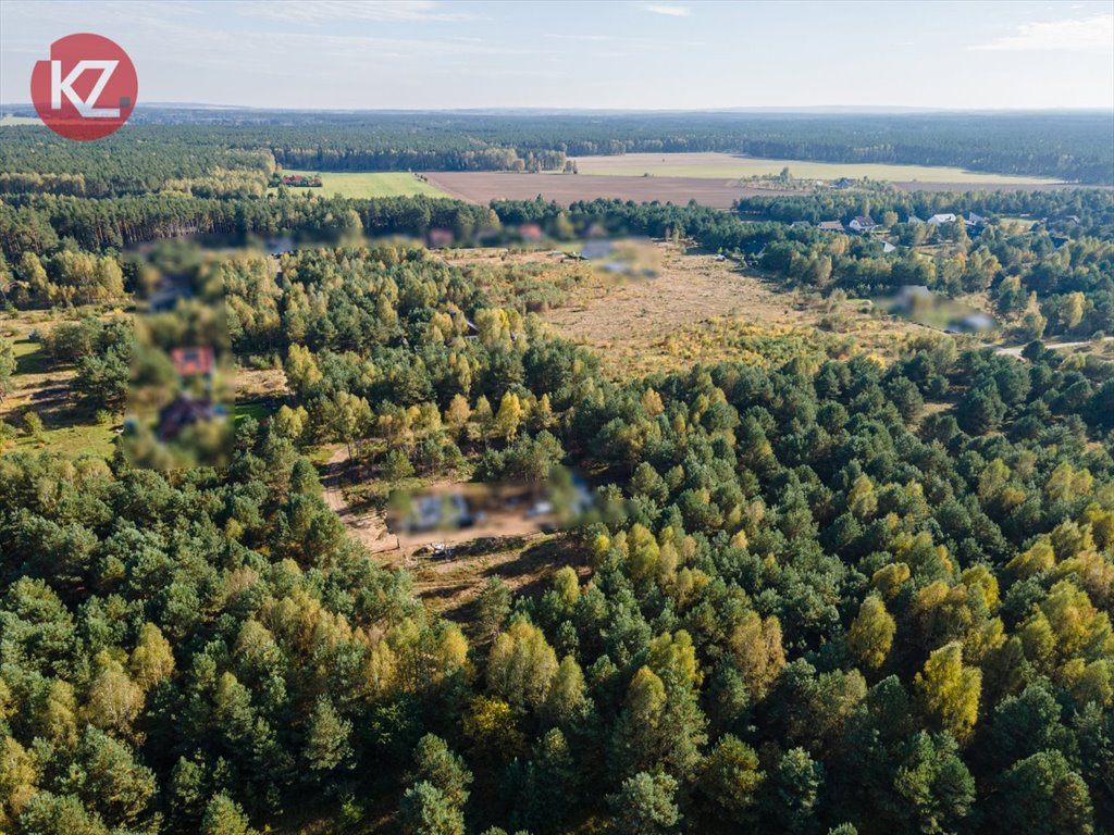 Działka inna na sprzedaż Skórka  1 308m2 Foto 8