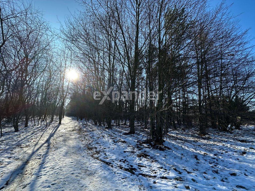 Działka budowlana na sprzedaż Częstochowa  10 685m2 Foto 1