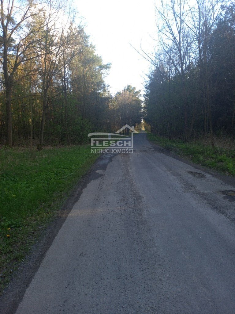 Działka budowlana na sprzedaż Przęsławice  4 500m2 Foto 13