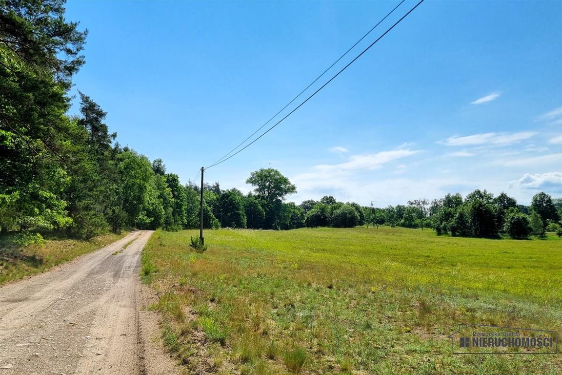 Działka siedliskowa na sprzedaż Dębowo  34 908m2 Foto 11