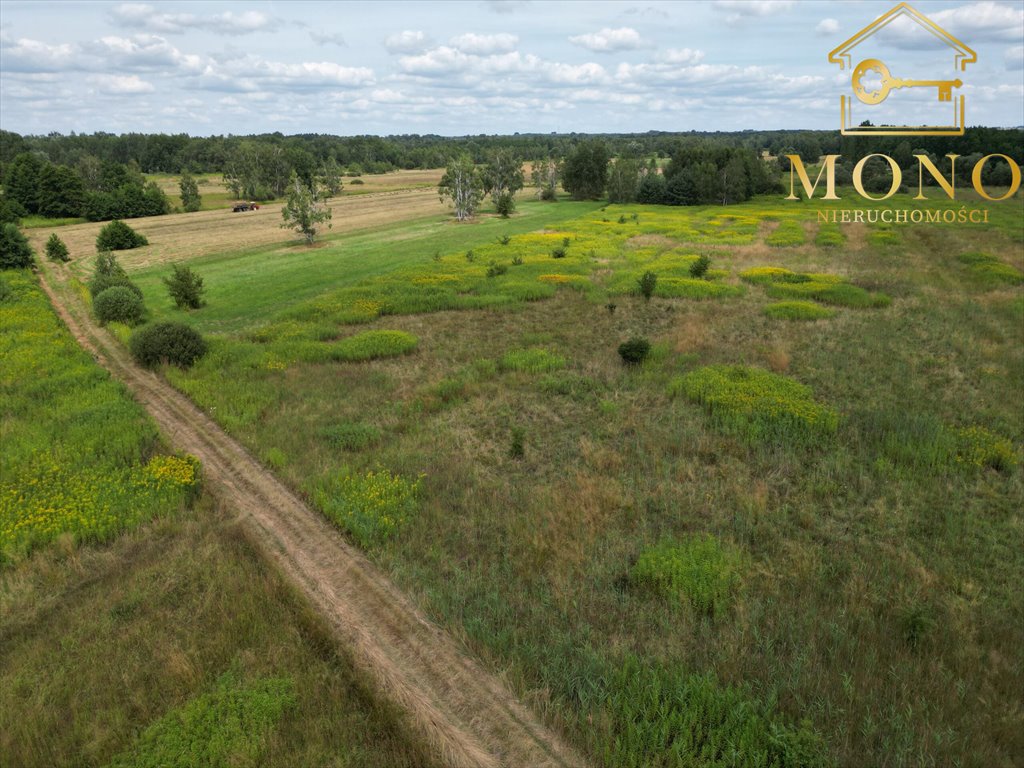 Działka budowlana na sprzedaż Piasek Wielki  26 800m2 Foto 12