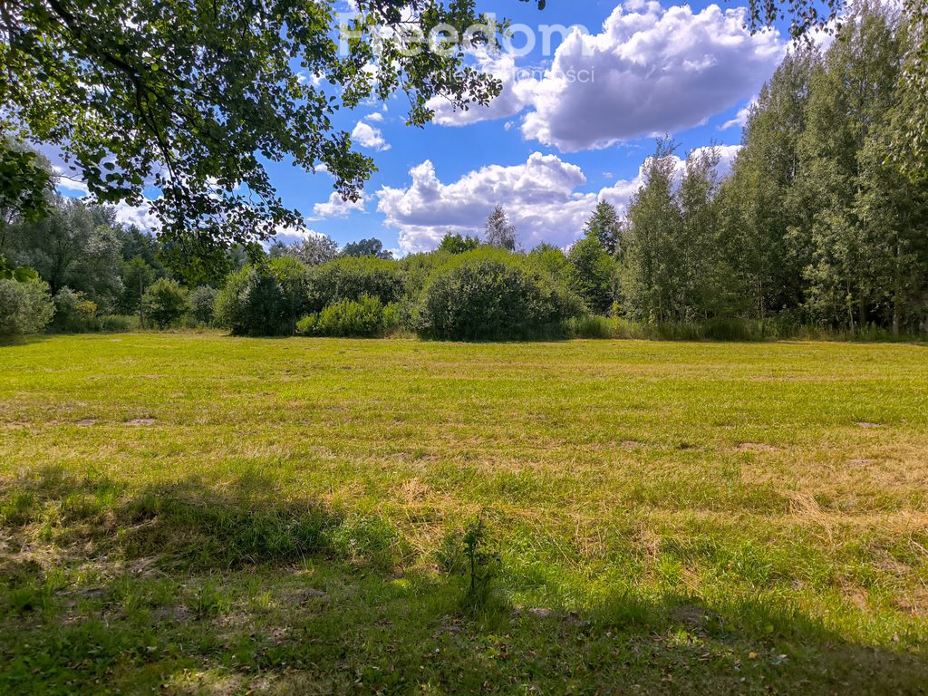 Działka siedliskowa na sprzedaż Bieganów, Poziomkowa  7 000m2 Foto 2