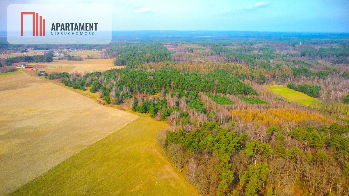 Działka budowlana na sprzedaż Niedary  1 000m2 Foto 6