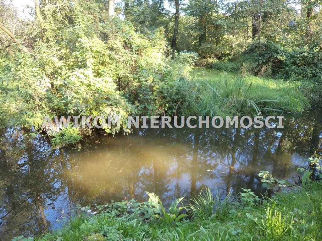 Działka inwestycyjna na sprzedaż Odrano-Wola  53 200m2 Foto 16