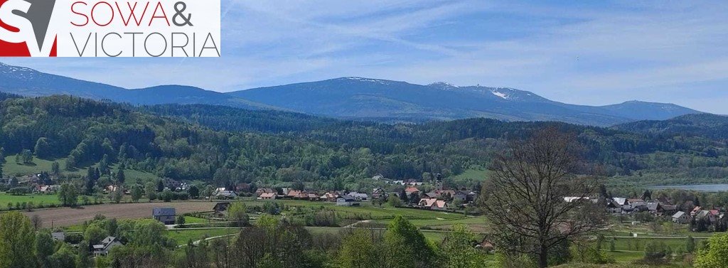 Działka inna na sprzedaż Sosnówka  6 000m2 Foto 1