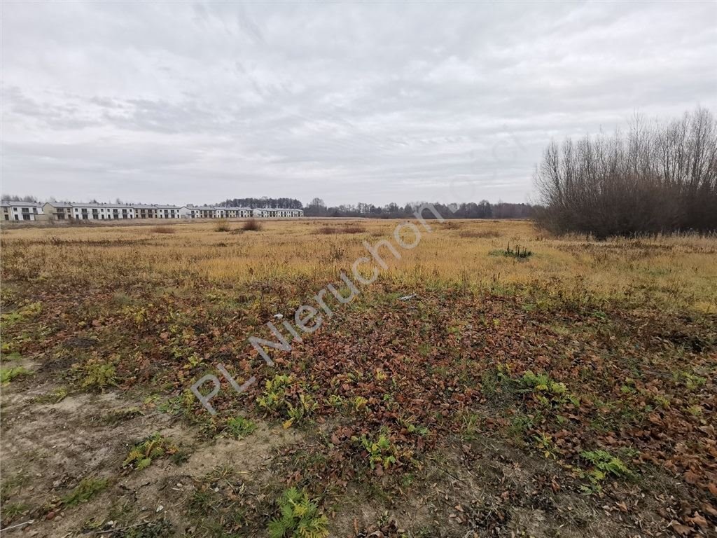 Zapraszam do zakupu terenu inwestycyjnego 5,5 ha z mediami i dojazdem asfaltowym Janczewice  55 804m2 Foto 1