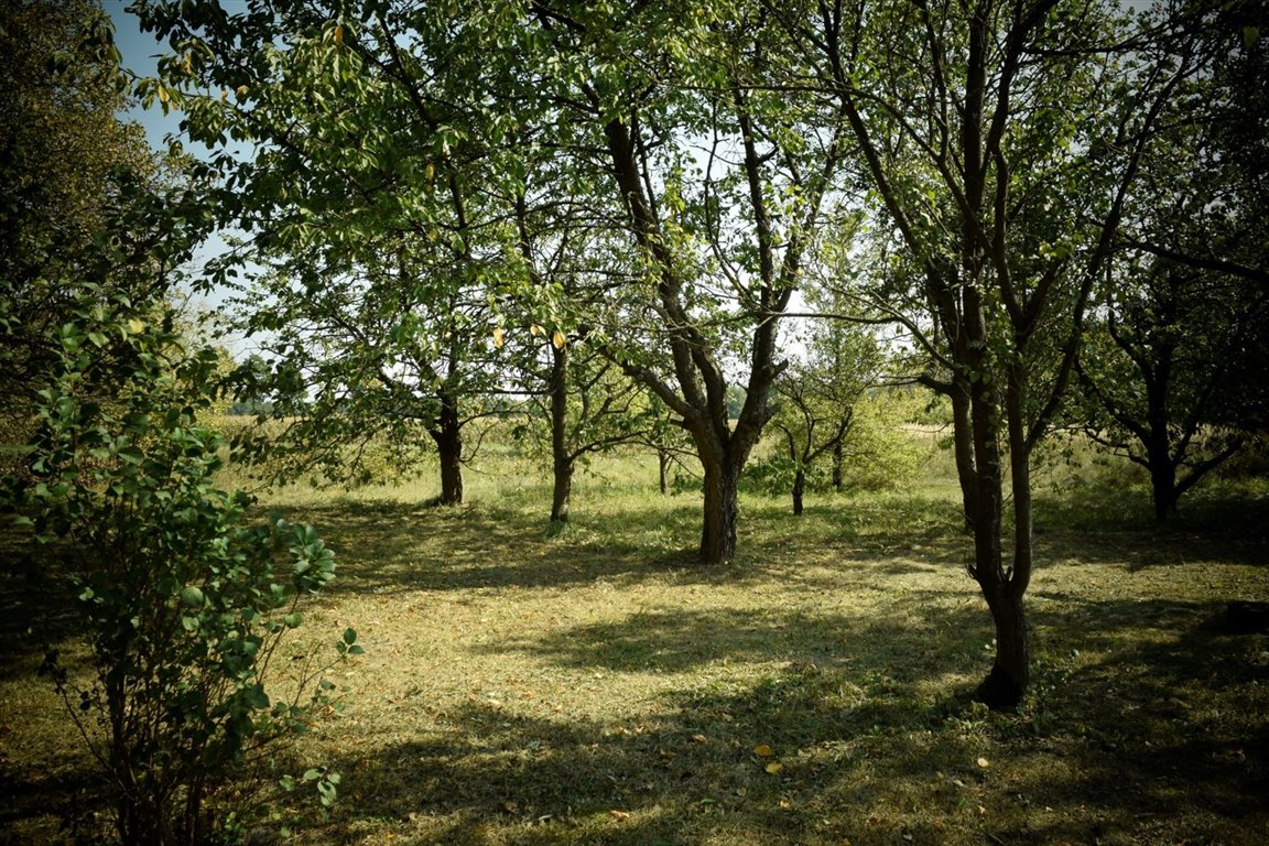 Działka rolna na sprzedaż Wierzbówiec  3 400m2 Foto 2