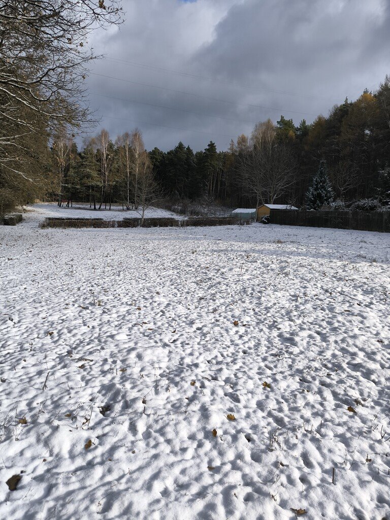 Działka rolna na sprzedaż Kielce, Iglasta  5 340m2 Foto 6