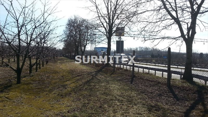 Działka budowlana na sprzedaż Jeziorzany 81 850m2 Foto 1 Działka budowlana na sprzedaż Jeziorzany 81 850m2 Foto 1