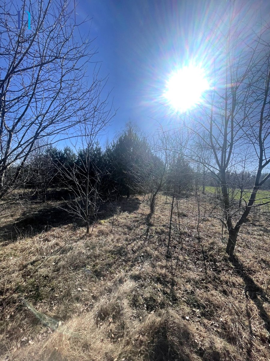 Działka rolna na sprzedaż Janów  6 000m2 Foto 8