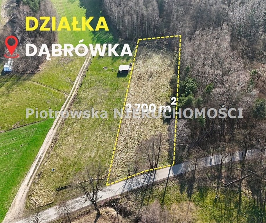 Działka budowlana 2 700 m² z lasem, dojazd asfaltowy Dąbrówka Sieradzka  2 700m2 Foto 1