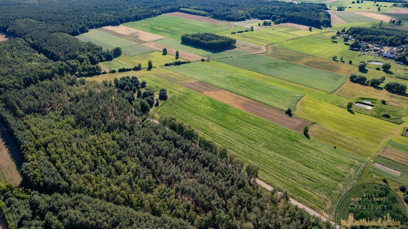 Działka inna na sprzedaż Czarnocin, Czarnocin  20 385m2 Foto 11