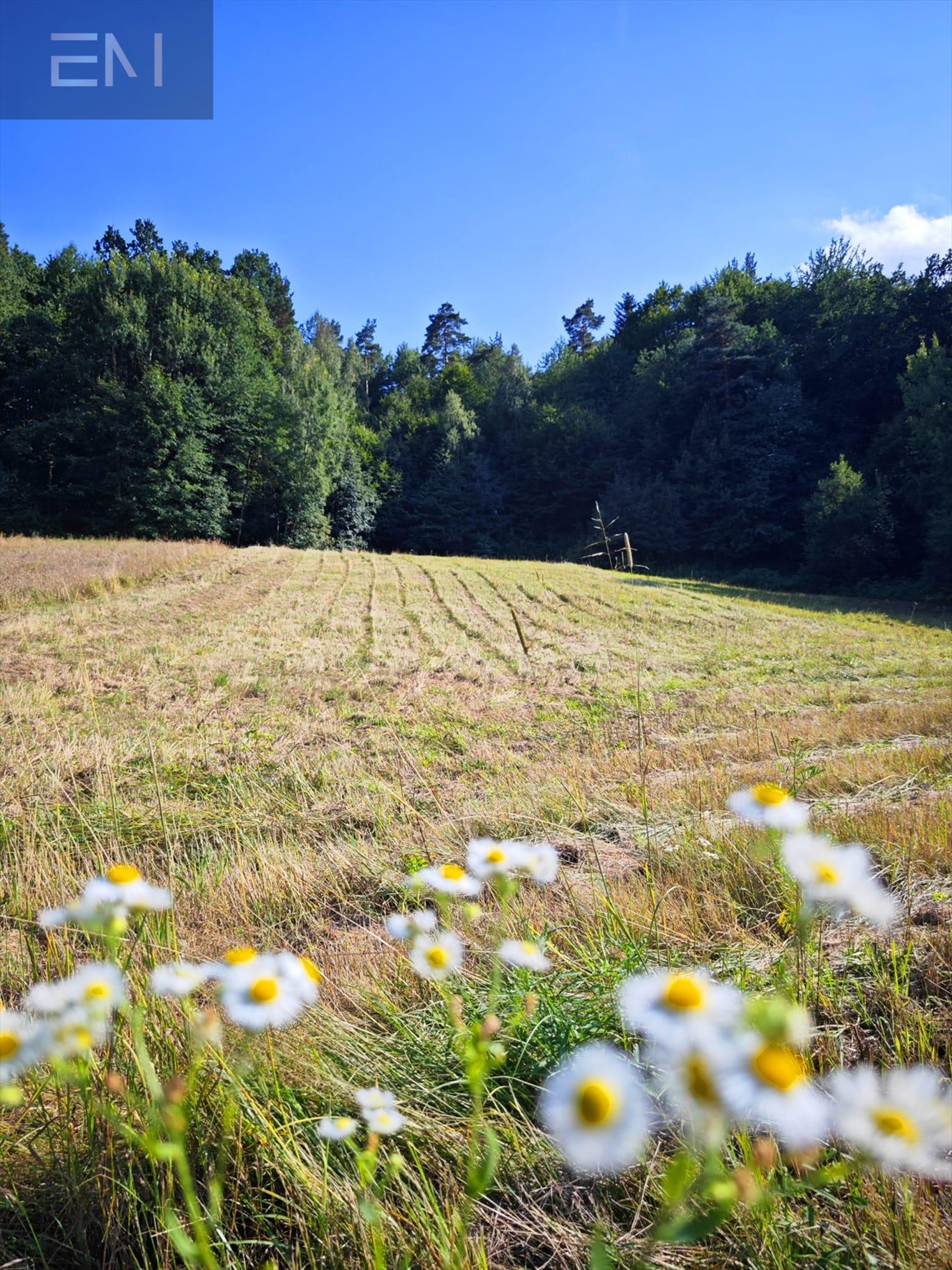 Działka budowlana na sprzedaż Krasna  5 300m2 Foto 3