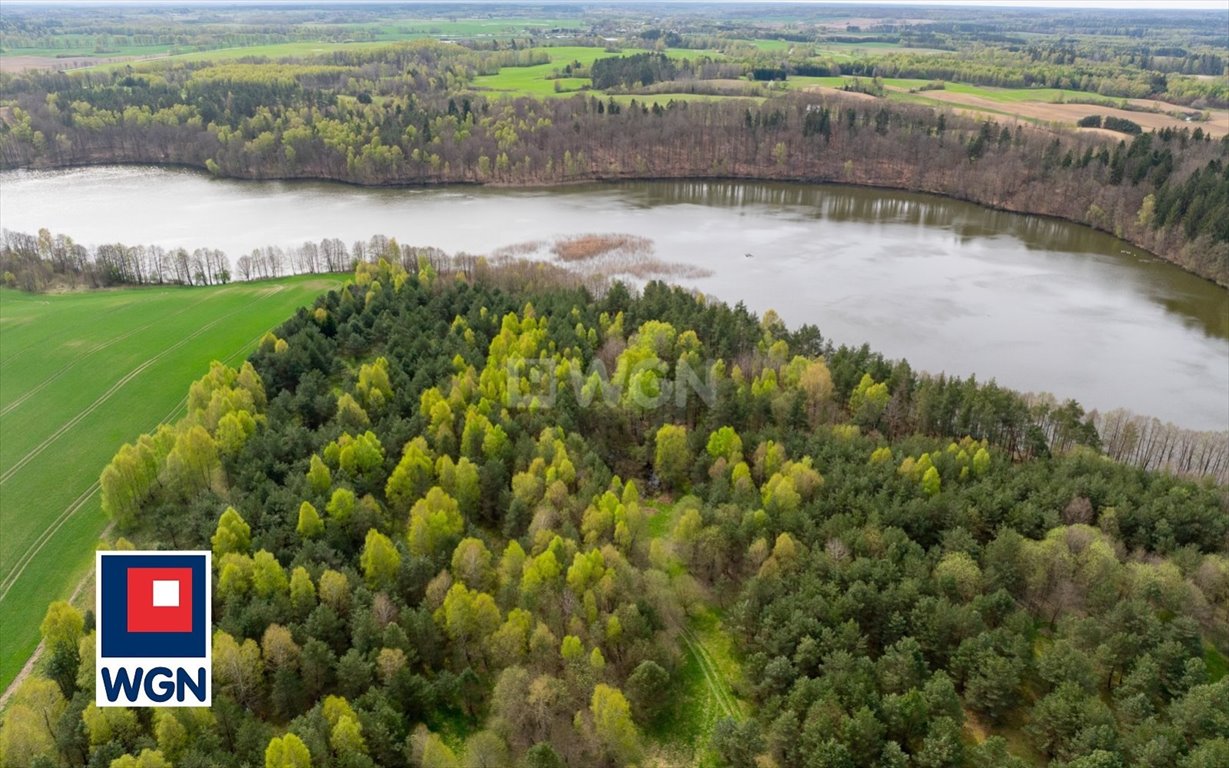 Działka inwestycyjna na sprzedaż Głodowo, Głodowo  25 300m2 Foto 5