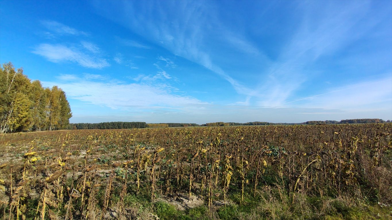 Działka budowlana na sprzedaż Brzozowica, Brzozowica  830m2 Foto 10