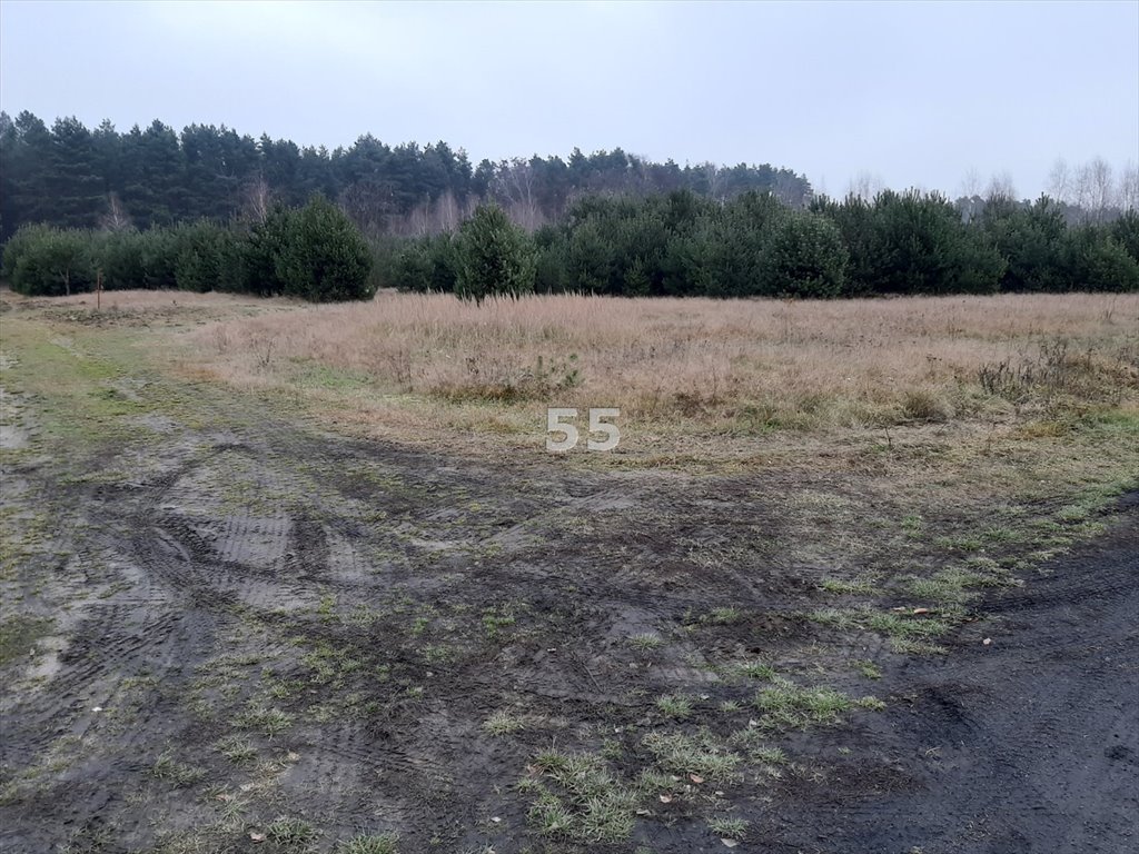 Działka inna na sprzedaż Świerczyna  1 138m2 Foto 3