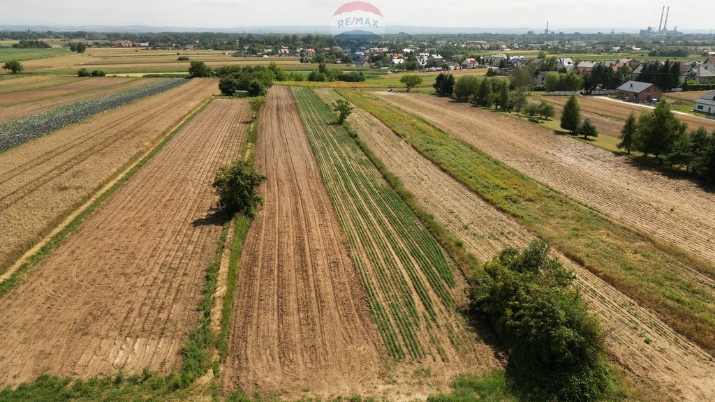 Działka budowlana na sprzedaż Krzysztoforzyce  5 500m2 Foto 6