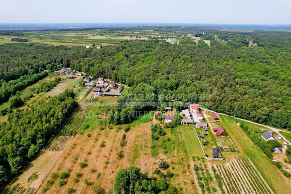 Działka leśna na sprzedaż Uściąż-Kolonia, Uściąż Kolonia  23 000m2 Foto 11