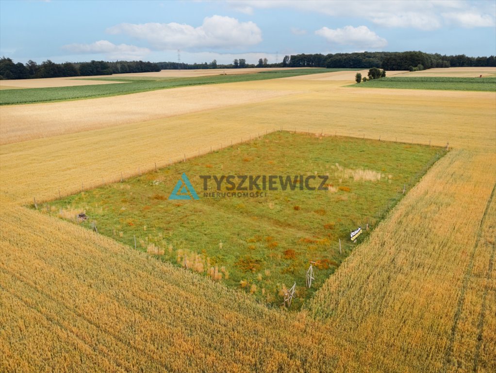 Działka budowlana na sprzedaż Góra, Słowińska  3 088m2 Foto 3