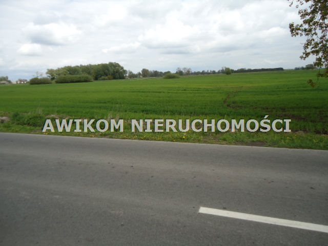 Działka 3 330 m² pod zabudowę w Kampinosie, blisko miasta Kampinos, Kampinos A  3 330m2 Foto 1