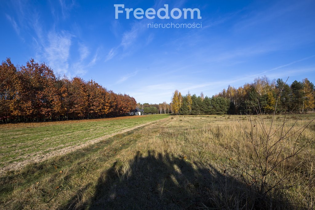 Działka budowlana na sprzedaż Tarnobrzeg, Ocice, Ocicka  2 800m2 Foto 5