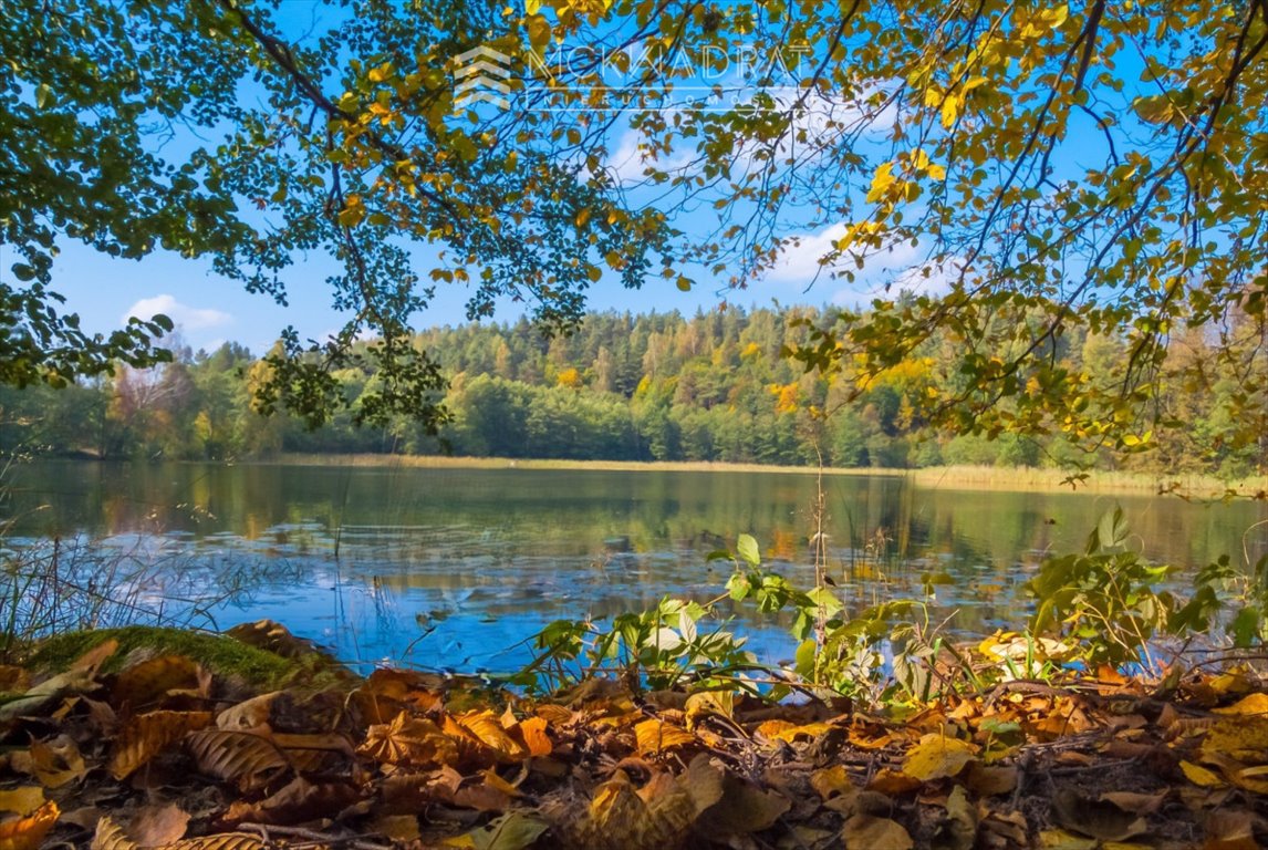 Działka przemysłowo-handlowa na sprzedaż Harsz  1 000m2 Foto 5