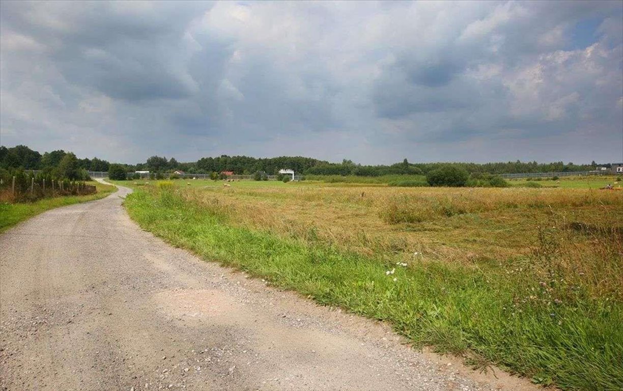 Działka budowlana na sprzedaż Kuranów  5 100m2 Foto 15