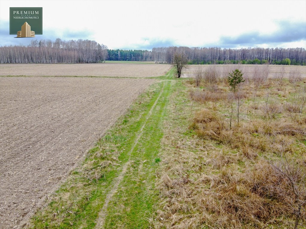 Działka siedliskowa na sprzedaż Koźliki  3 000m2 Foto 7