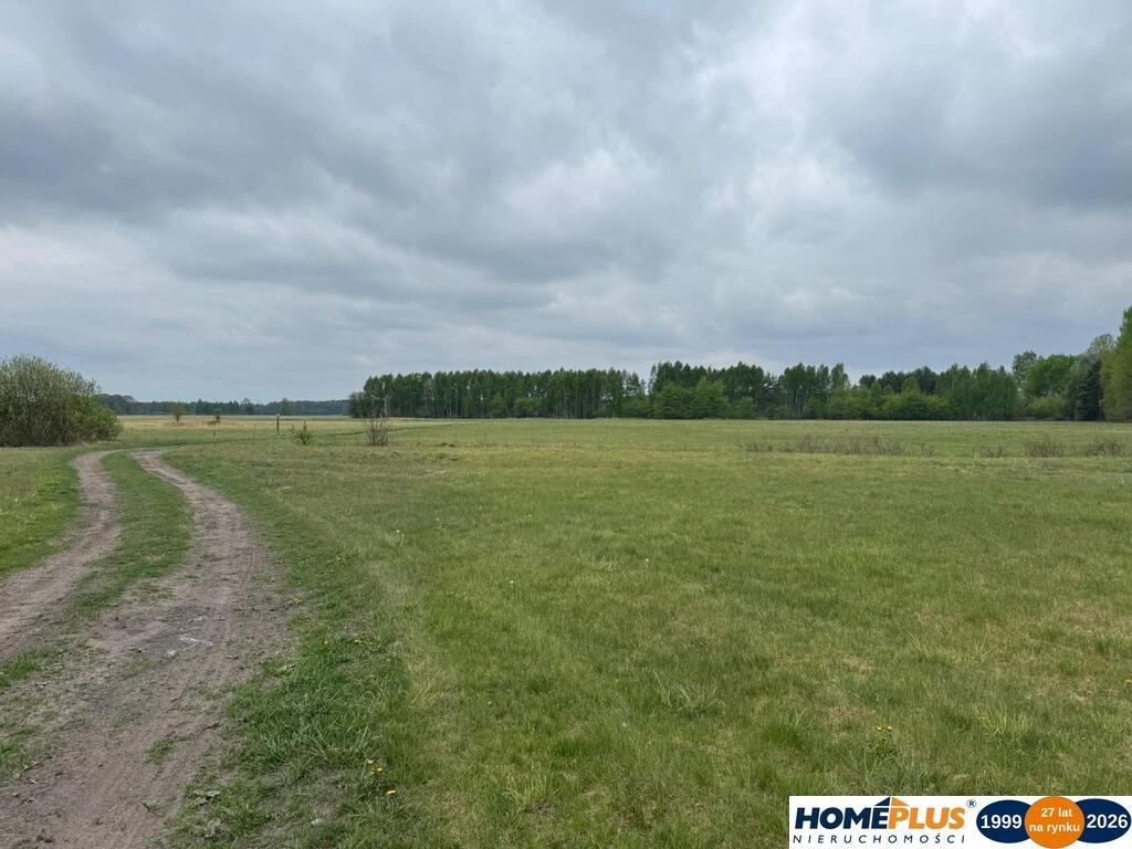 Działka rolna 6000 m² z możliwością zabudowy - polecam! Łąki  5 400m2 Foto 1