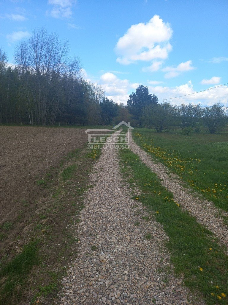 Działka budowlana na sprzedaż Lisówek  15 000m2 Foto 18