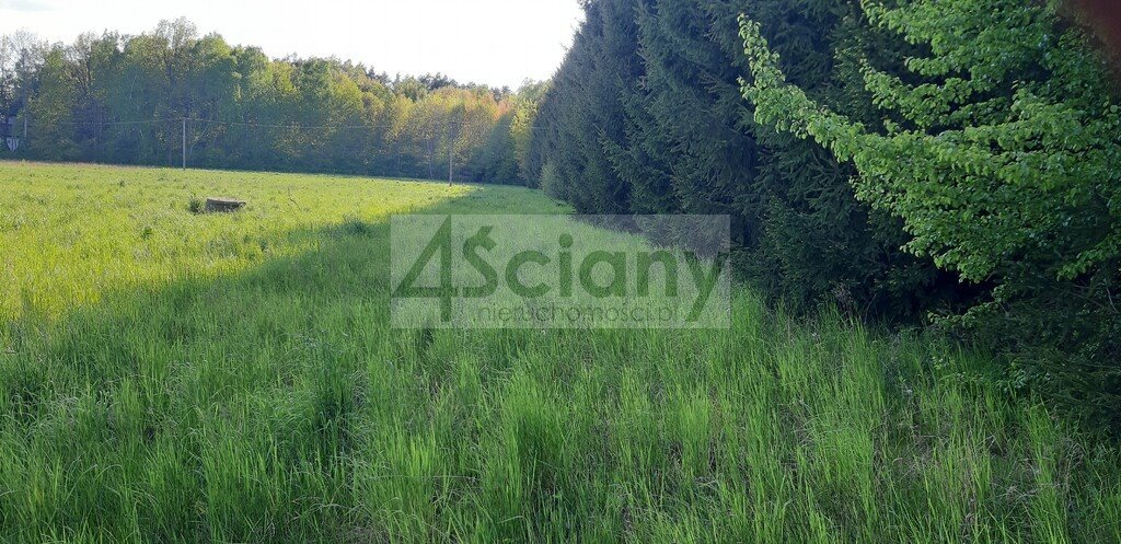 Zapraszam do zakupu działki 2190 m² w Ruscu, media, spokojna okolica Rusiec  2 190m2 Foto 1