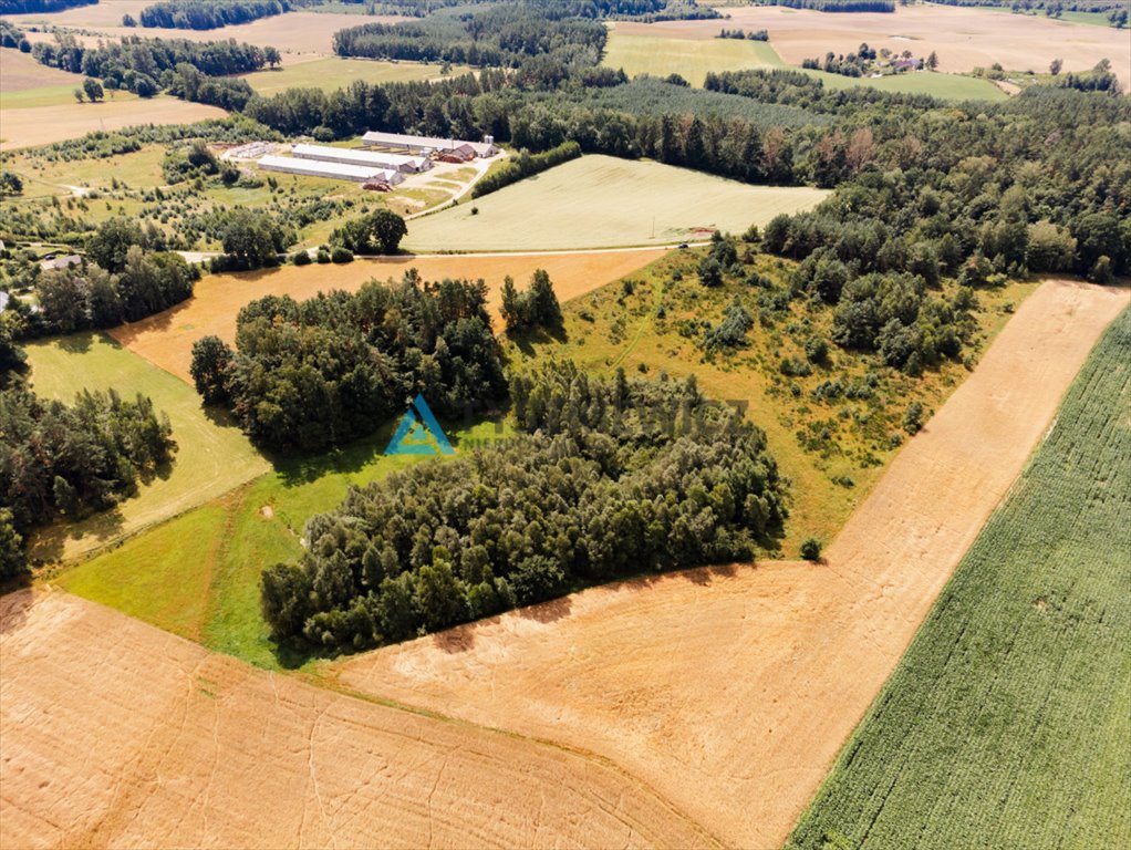 Działka rolna na sprzedaż Czarna Dąbrówka, Kaszubska  30 100m2 Foto 7