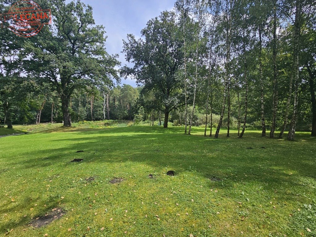 Działka budowlana na sprzedaż Różanki  2 300m2 Foto 1