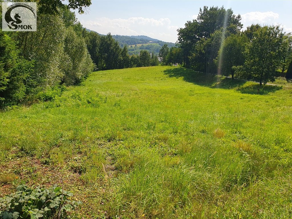 Działka budowlana na sprzedaż Tłuczań  5 900m2 Foto 4