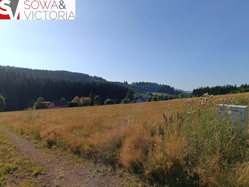 Działki budowlane z widokami, prąd, las, blisko Gór Sowie Bartnica  1 585m2 Foto 1