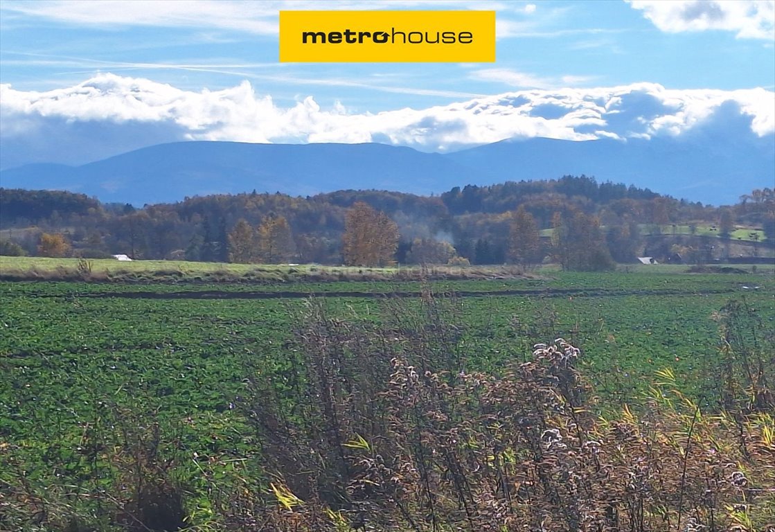 Działka budowlana 2249 m² w cichej okolicy z mediami Komarno  2 249m2 Foto 1