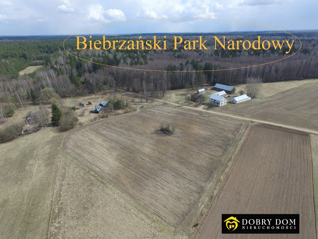 Na sprzedaż działka 3000 m² w Trzyrzeczki z mediami i lasem Trzyrzeczki  3 000m2 Foto 1