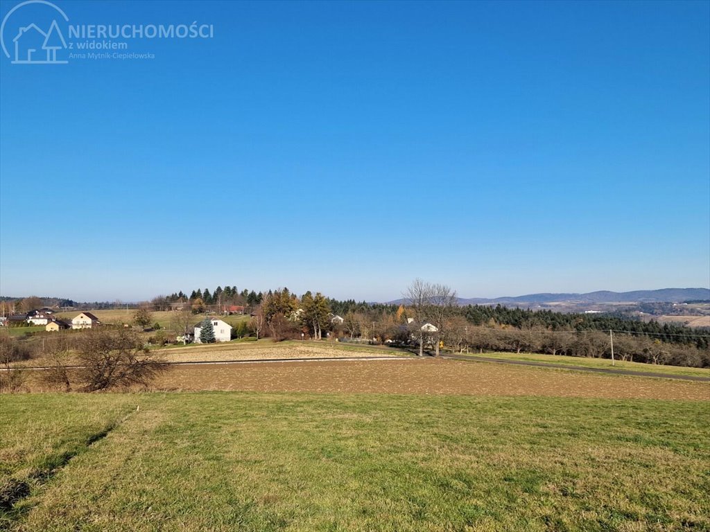 Działka budowlana na sprzedaż Turza  2 517m2 Foto 7